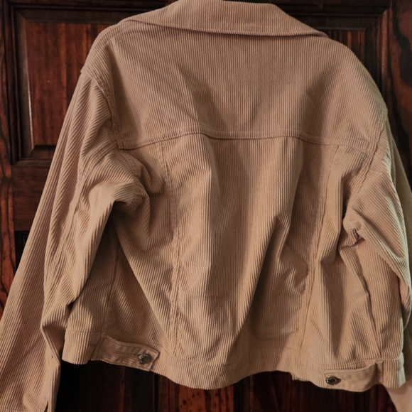 Women's Cropped Tan Corduroy Jacket - Picture 3 of 3